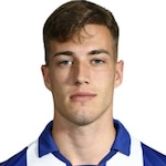 Luka Sucic