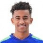 Othman Al-Othman