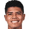Wilder Cartagena 